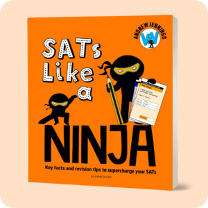 SATs Like a Ninja